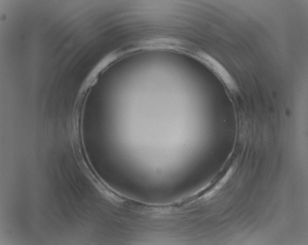 X0000051251196200506241539