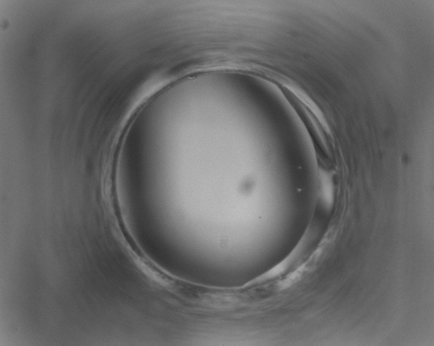 X0000051251197200506241539