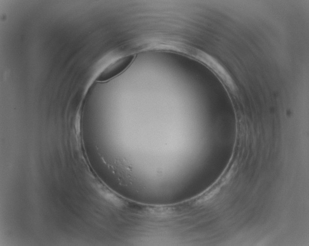 X0000051251198200506241539