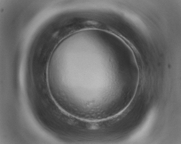 X0000051251199200506241539