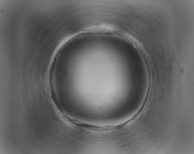 X0000051251200200506241538