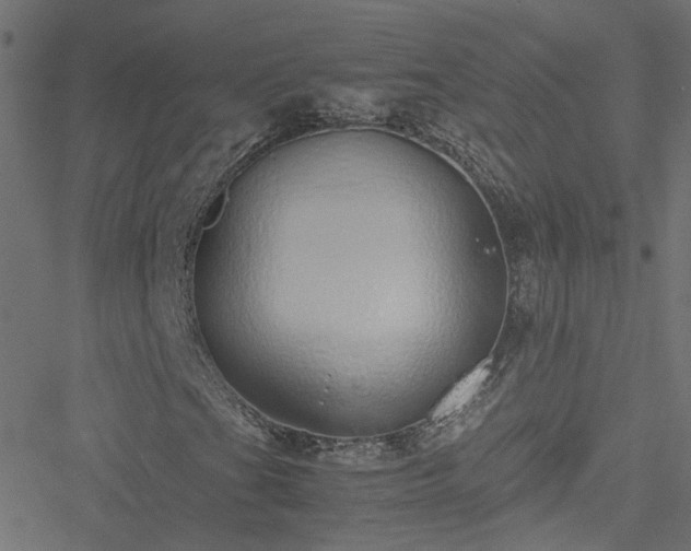 X0000051251201200506241538