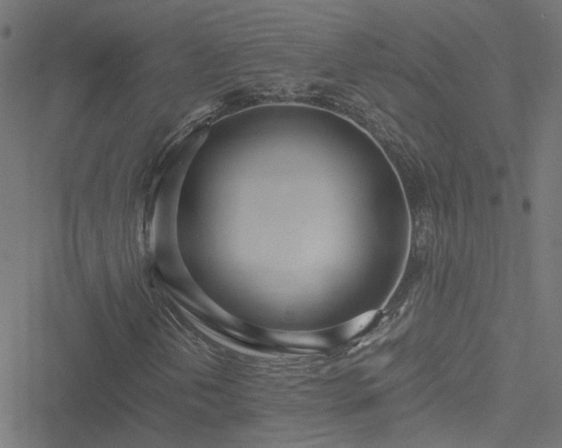 X0000051251202200506241538