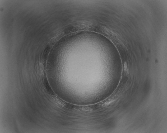 X0000051251203200506241538