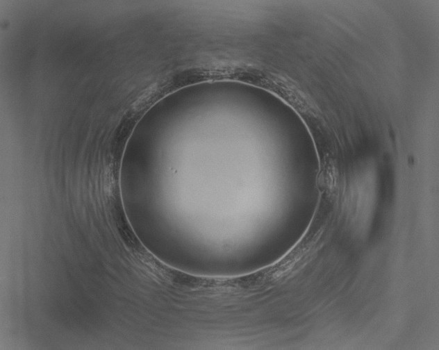 X0000051251204200506241538