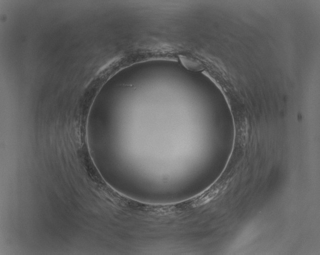 X0000051251205200506241538