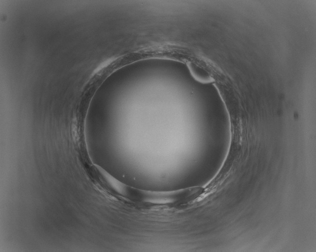 X0000051251206200506241538