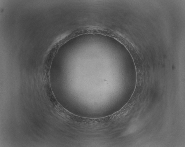 X0000051251207200506241538