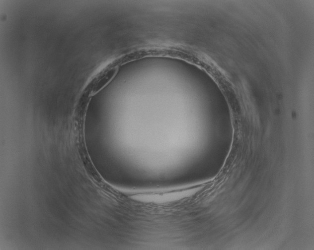 X0000051251208200506241538