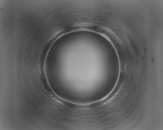 X0000051251209200506241538