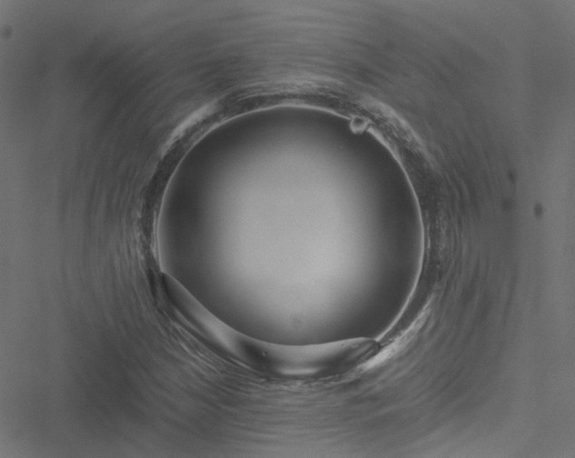 X0000051251210200506241538