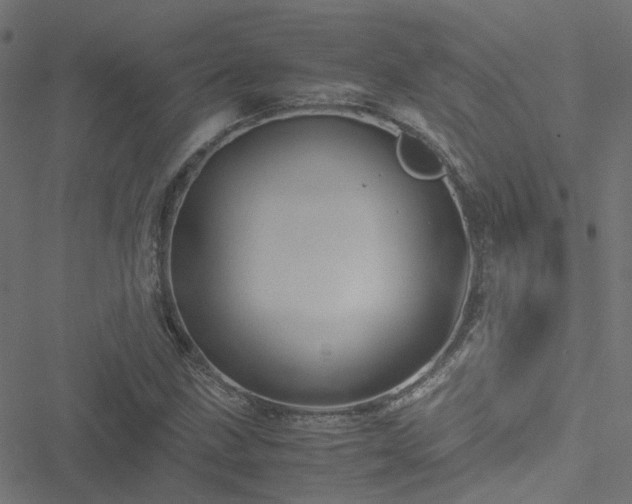 X0000051251211200506241538