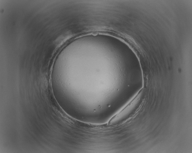 X0000051251212200506241538