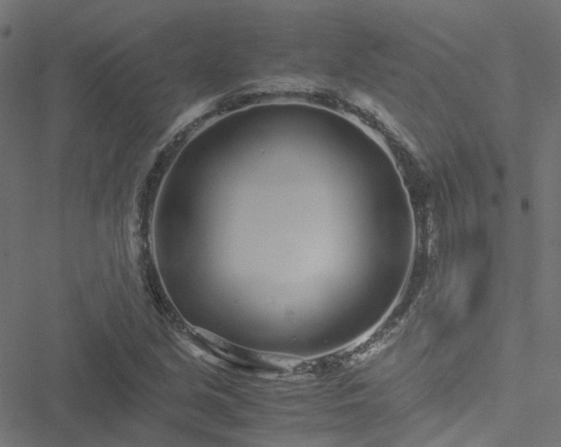 X0000051251213200506241538