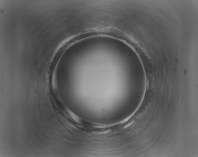 X0000051251214200506241538