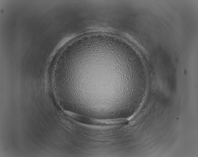 X0000051251215200506241538