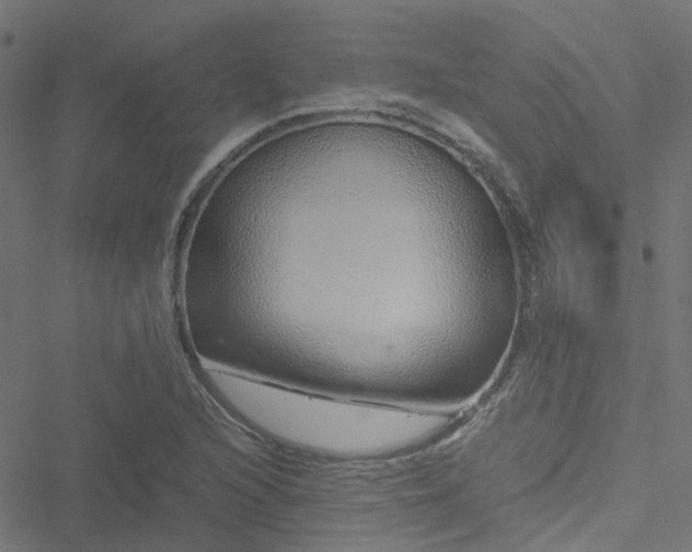 X0000051251216200506241538