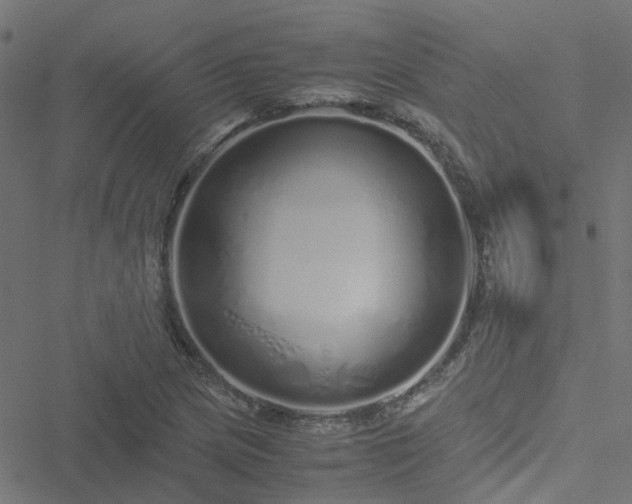 X0000051251217200506241538