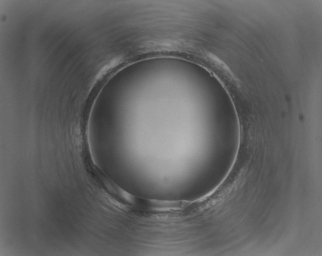 X0000051251218200506241538