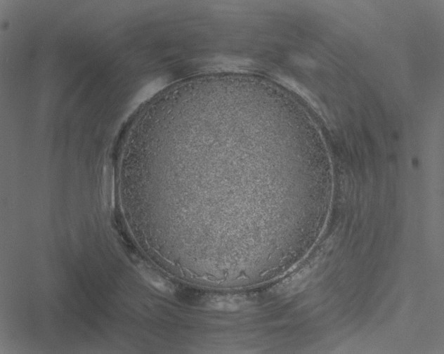 X0000051251219200506241538