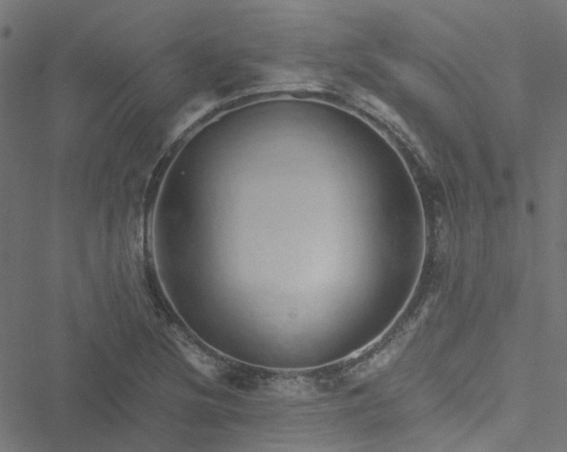 X0000051251220200506241538