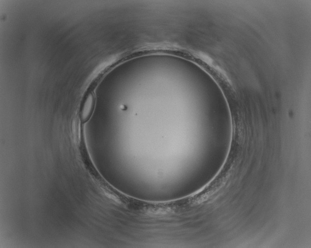 X0000051251221200506241538