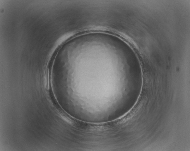 X0000051251223200506241538