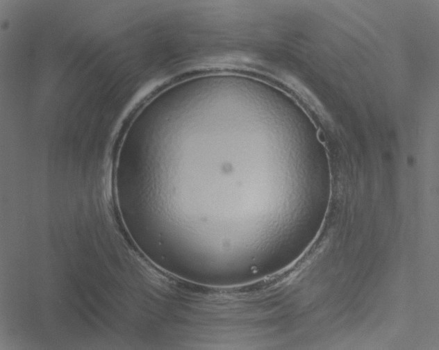 X0000051251224200506241538