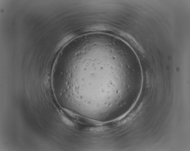 X0000051251225200506241538