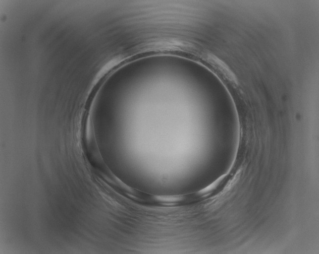 X0000051251226200506241538