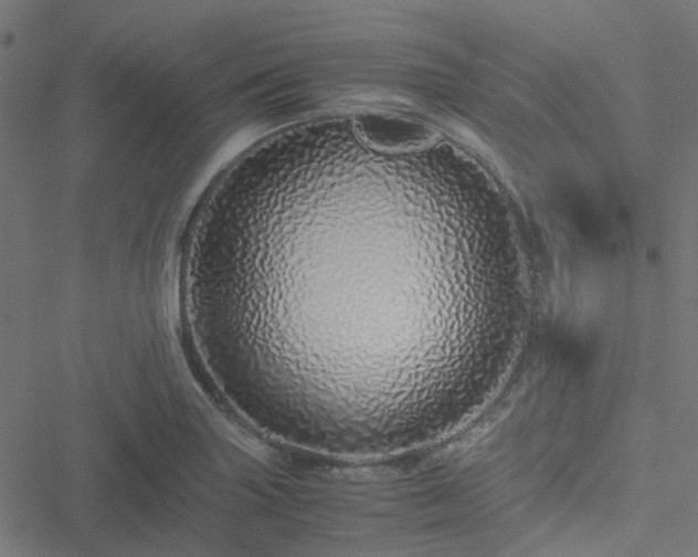 X0000051251227200506241538