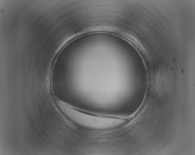 X0000051251228200506241538