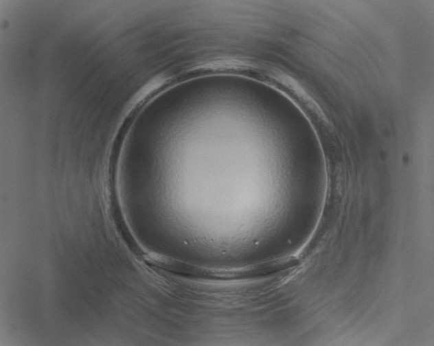 X0000051251229200506241538