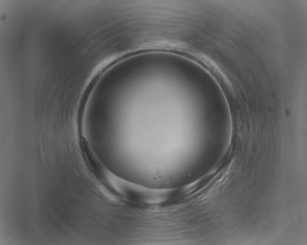 X0000051251230200506241538