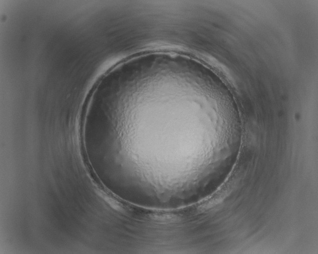 X0000051251231200506241538