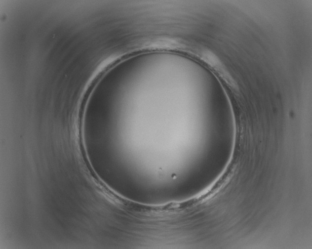 X0000051251232200506241538