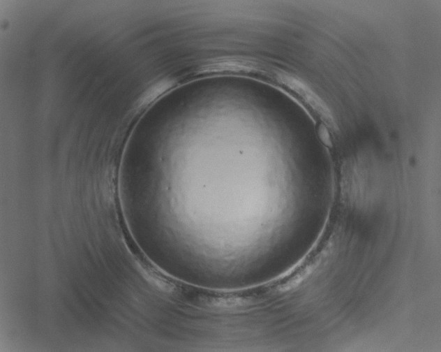 X0000051251233200506241538