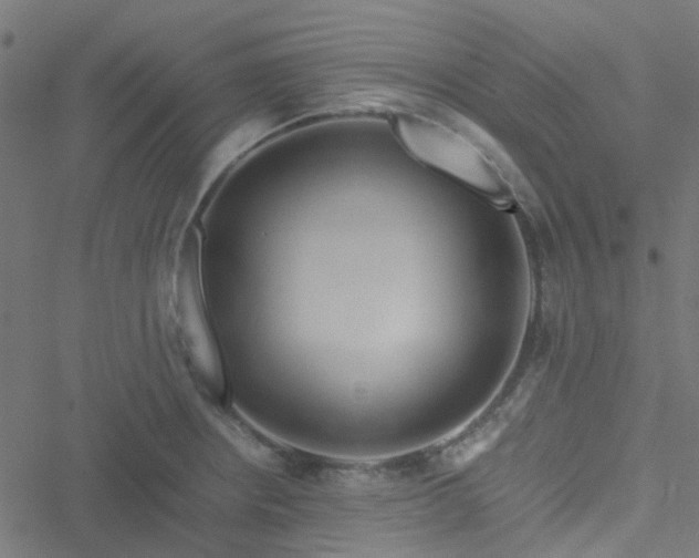 X0000051251234200506241538