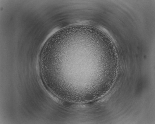 X0000051251235200506241538