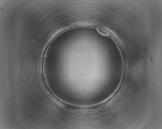 X0000051251236200506241538