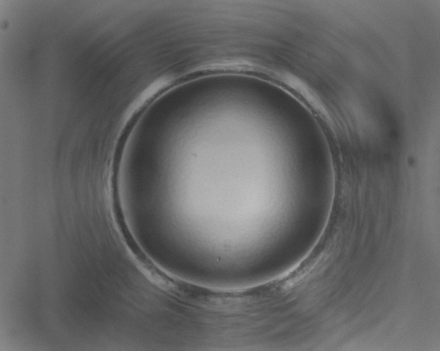 X0000051251237200506241538