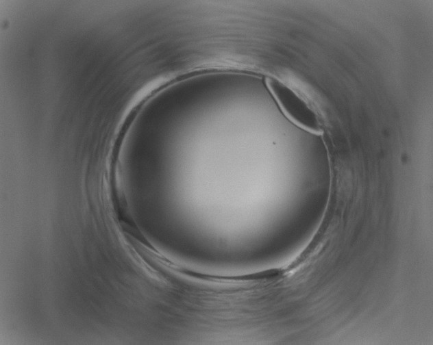 X0000051251238200506241538