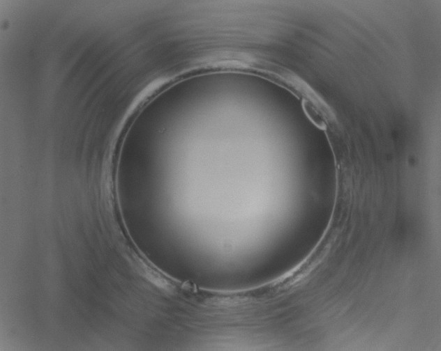 X0000051251240200506241538