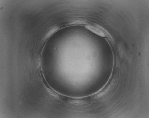 X0000051251241200506241538