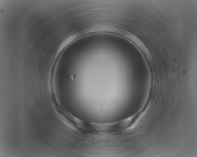 X0000051251242200506241538