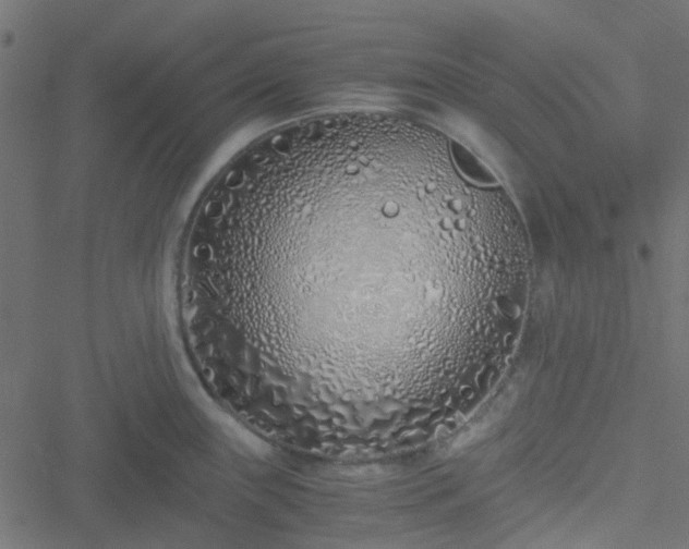 X0000051251243200506241538