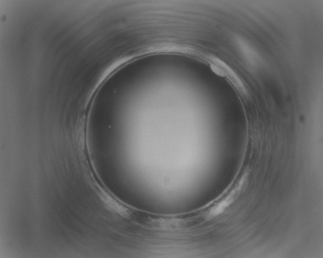 X0000051251244200506241538