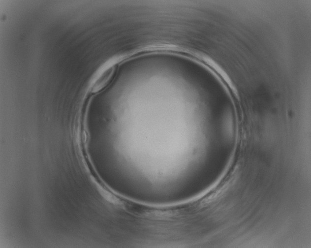 X0000051251245200506241538