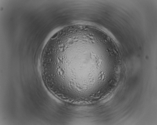 X0000051251247200506241538