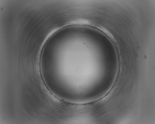 X0000051251248200506241538